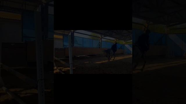 для самых лучших!