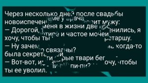 Муж Застал Жену с Кумом в Сарае! Сборник Свежих Анекдотов! Юмор