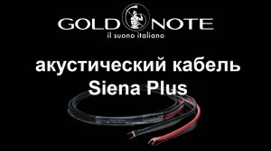 Акустический кабель Gold Note Siena Plus