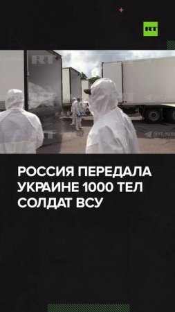 Украине передали 1000 тел солдат ВСУ — видео