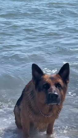 🌊😎🌅🥰