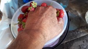 Начал копать чеснок