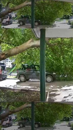 Не повезло с деревом.