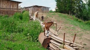 СКОРО В ДЕРЕВНЕ БУДЕТ ВОДА | ПОСТАВИЛИ ПЕРВЫЙ КОЛОДЕЦ | СТАРЫЕ ПОСТРОЙКИ ПОД ЗЕМЛЁЙ | ОКРОШКА