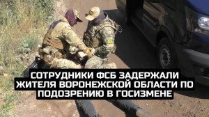 Сотрудники ФСБ задержали жителя Воронежской области по подозрению в госизмене