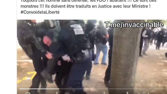 5.1Toujours cet homme sans défense, les FDO l’abattent !!! Ce sont des monstres !!! Ils doivent être