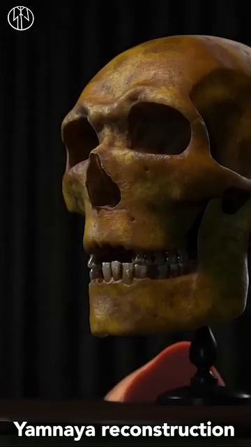 Реконструкция лица представителя Ямной Культуры Праиндоевропейца