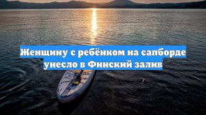 Женщину с ребёнком на сапборде унесло в Финский залив
