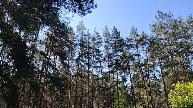 Каким образом работа удерживает нас от свободы. Охранные модули работы по найму в организации. 2 ч.