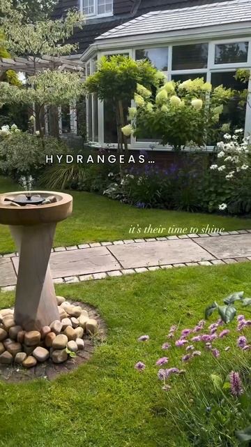 #hydrangea#гортензия#garden #гортензія#flowers #park#jardin#shorts#アジサイ#h смотреть онлайн