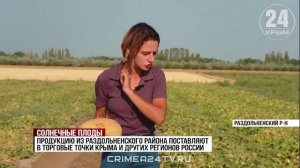 В Крыму сезон арбузов и дынь в этом году начался раньше