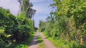 Московская область, Клинский район, Деревня Мисирево, СНТ «Восход» 12.07.2025