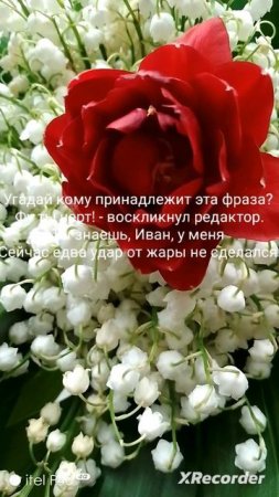 XRecorder_Edited_17072025_013755.mp4