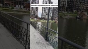 Прямая трансляция fishing и мы !