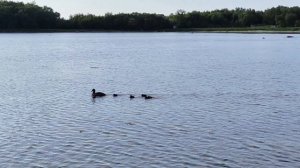 Прогулка по берегу Белого моря на Соловках к каменному лабиринту