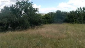 Заезд на Георгия день 1 720