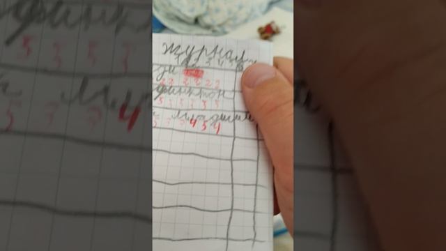 мой первый репортаж в плюшевой школе