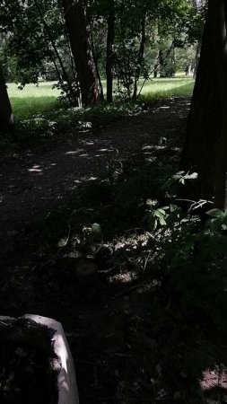 VID_20250716_123115