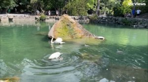 Крым Алупка сегодня 17 июля 2025. Обстановка на курорте, море и погода в Крыму сейчас