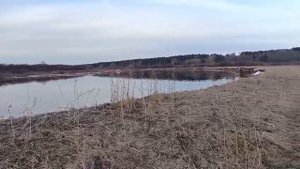 Pogoda v Sibiri Прогулка по угодьям ч2