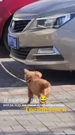 Чисто мой вайб 😂
