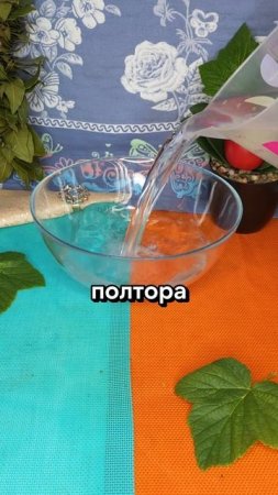 Квашеные помидоры без сахара и уксуса как из бочки по рецепту бабушки