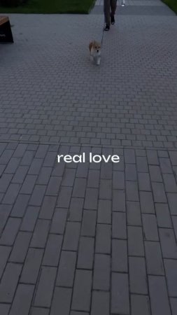🥹