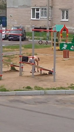 держит в страхе двор