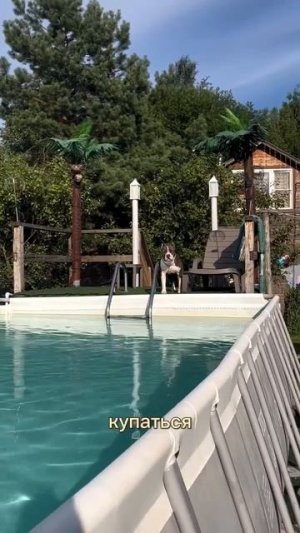 Жара всех достала.