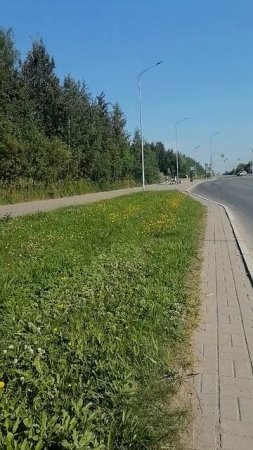 Дорога на пляж с велосипедистами