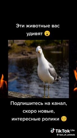 1000017688.mp4