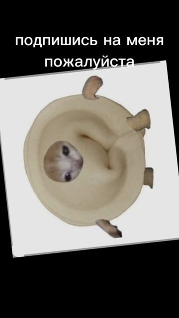 подпишись на меня пожалуйста :3 смотреть онлайн