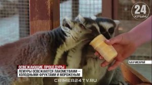 Освежающие процедуры: как животным в крымских зоопарках помогают справиться с жарой