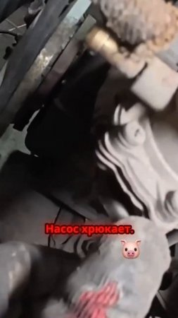 TG: nexpertGM ХРЮКАЮЩИЙ НАСОС? Значит все ок #shorts #независимыйэксперт #георгиймедведев