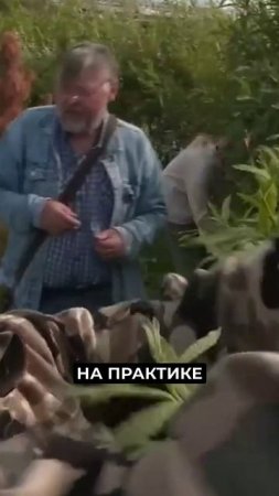 📍Студенты лестеха помогают озеленять Новый Уренгой