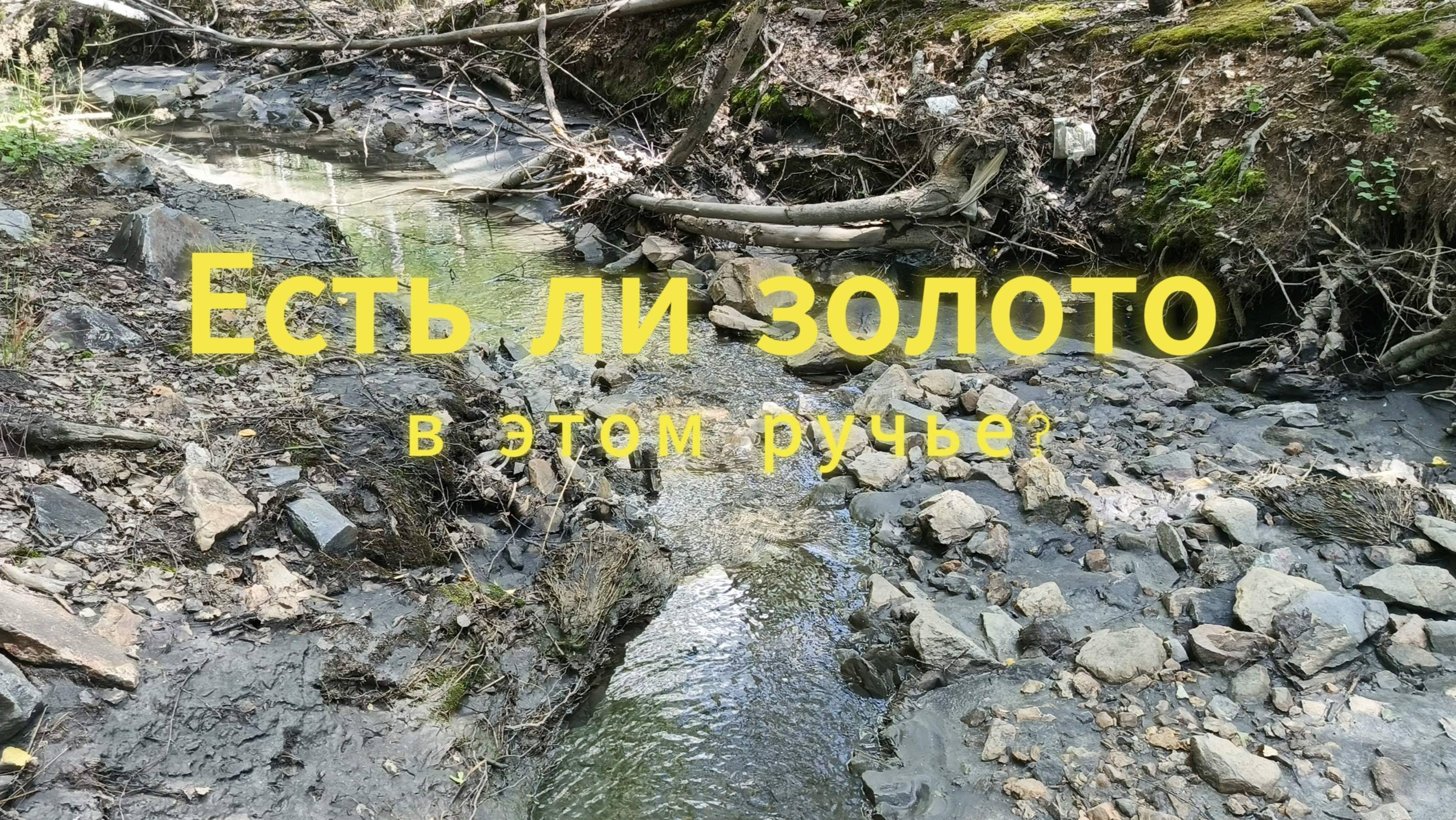 Есть ли золото в ручье?
