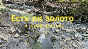 Есть ли золото в ручье?
