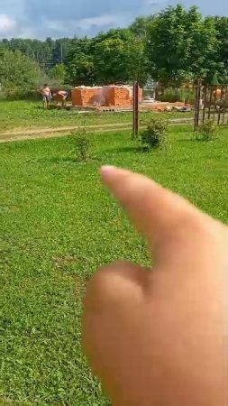 рассказы о своих растениях