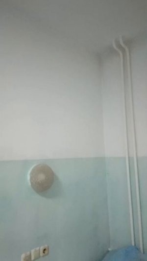 День 4 Четвёртая палата