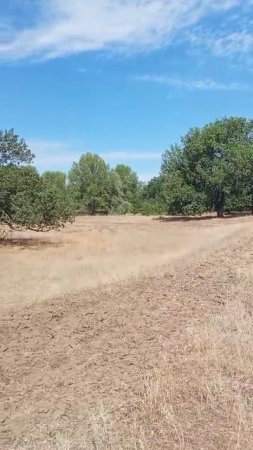 video_2025-07-14_09-00-09 (2)