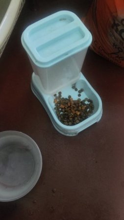 И так всё трудно, ещё и Ганса четвертые сутки нет...