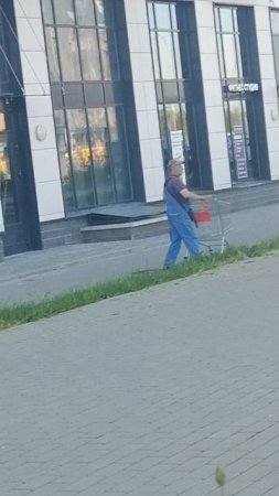 Прицепился незаменимый работник
