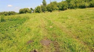 17-07-2025 очень много кабачков, буду ими кормить девок своих.