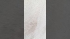 Гуляю с Женей и Ромой 2часть прогулки.