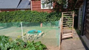 Покос завершён! Красивый сад и двор 🏡. Птичка на прогулке🪿🦆🐓.