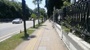 Иду по Виноградной. Сочи