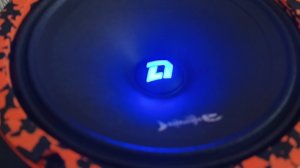 Barracuda 165 SE от  DL Audio.