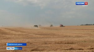 В Адыгее полным ходом идет уборка озимой пшеницы