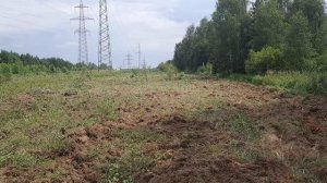 начинаем подъем залежи арендного поля 5 Га в Горках