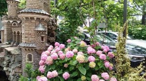 Поймай дзен достичь внутренней гармонии